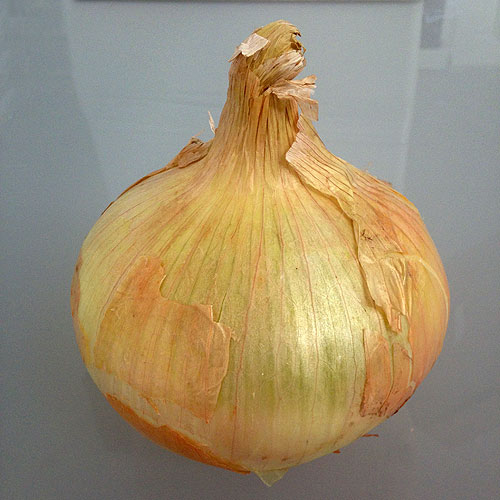 cebolla de villafranca
