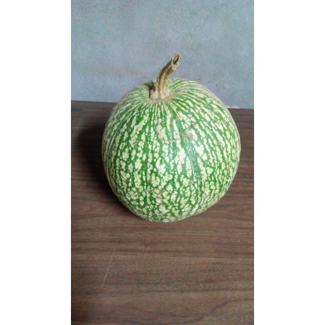 Calabaza Cidra (Cabello de Ángel) Agotada