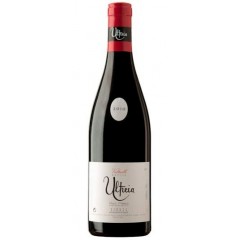 Vino Ultreia de Saint Jacques