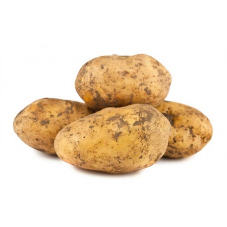 Patata agria saco 25 Kg con envío incluido