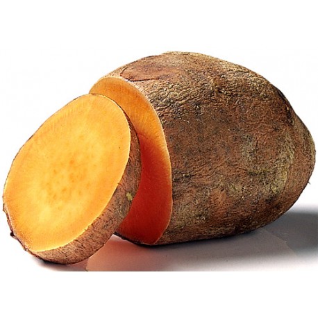 Boniato o batata. Caja de 4Kg aprox